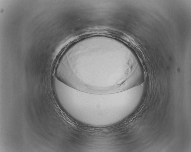 X0000060581312200512011723