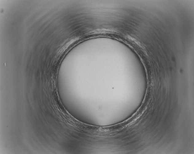 X0000060581313200512011723