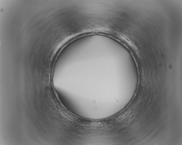 X0000060581316200512011723