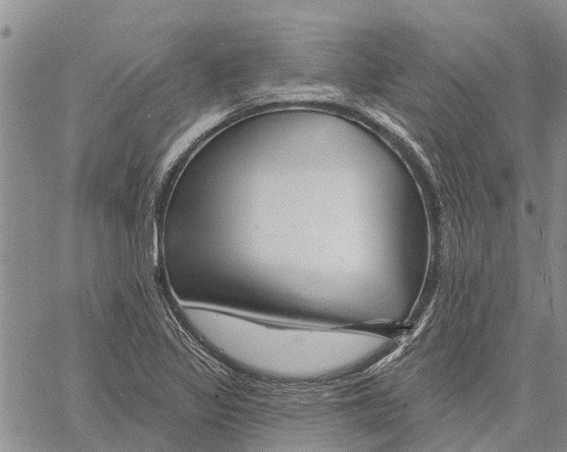 X0000060581317200512011723