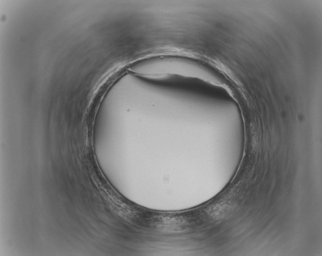 X0000060581318200512011723