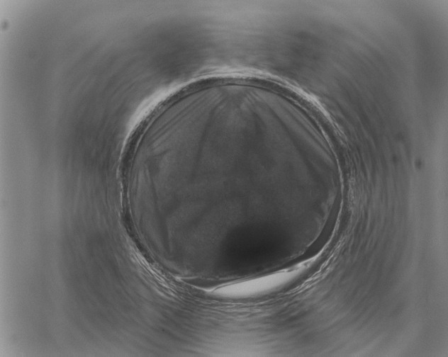 X0000060581319200512011723