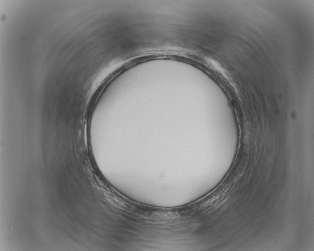 X0000060581320200512011723