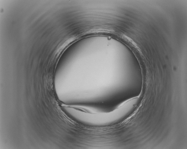 X0000060581321200512011723