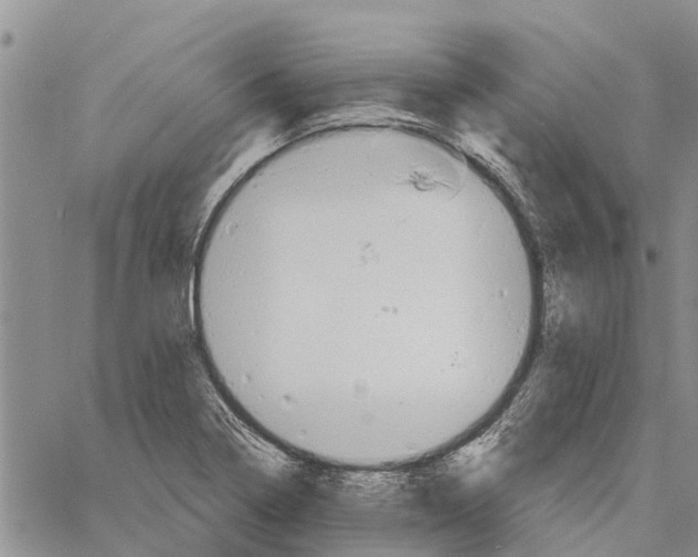 X0000060581322200512011723