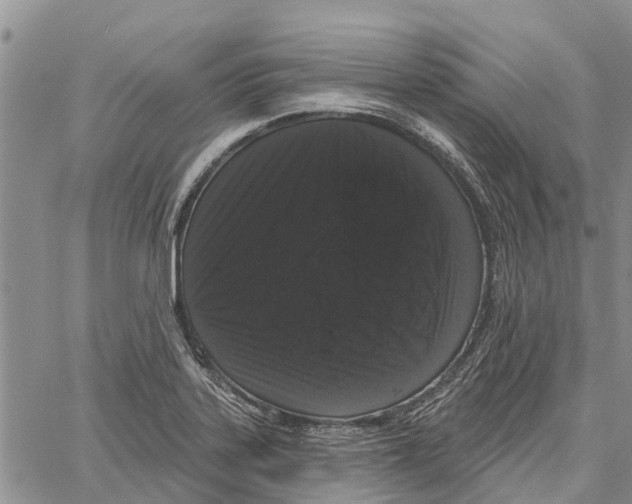 X0000060581323200512011723