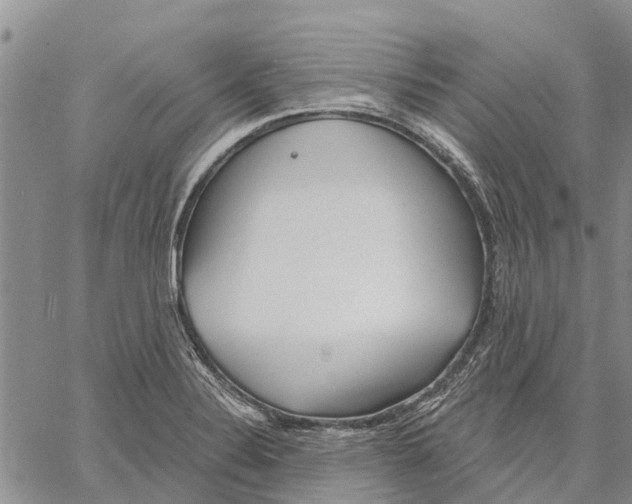 X0000060581324200512011723