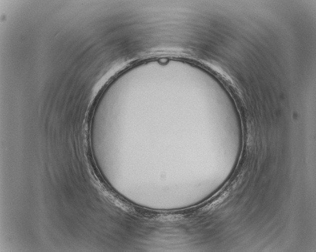 X0000060581325200512011723