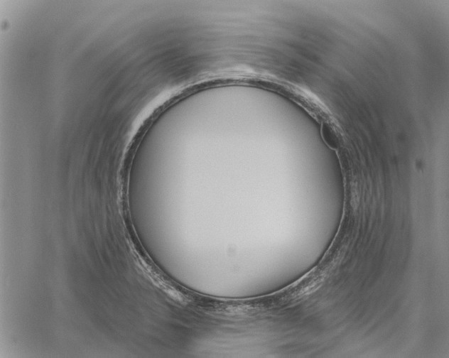 X0000060581326200512011723