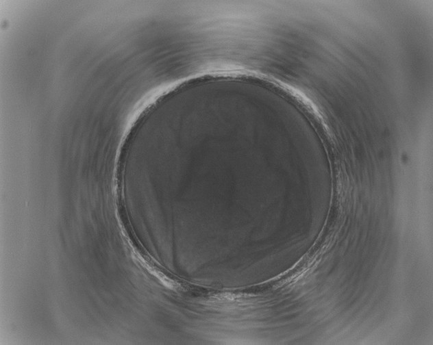 X0000060581327200512011723