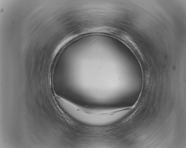 X0000060581328200512011723