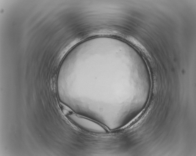 X0000060581329200512011723