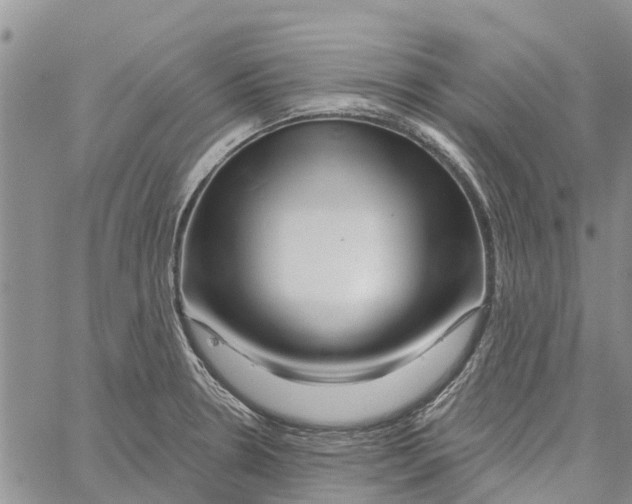 X0000060581330200512011723