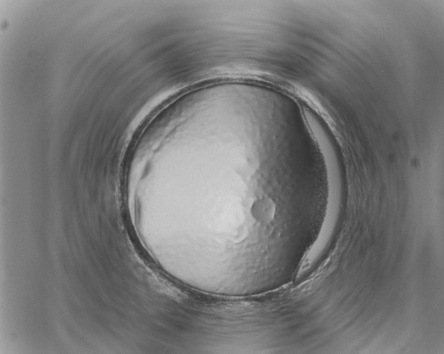 X0000060581331200512011723