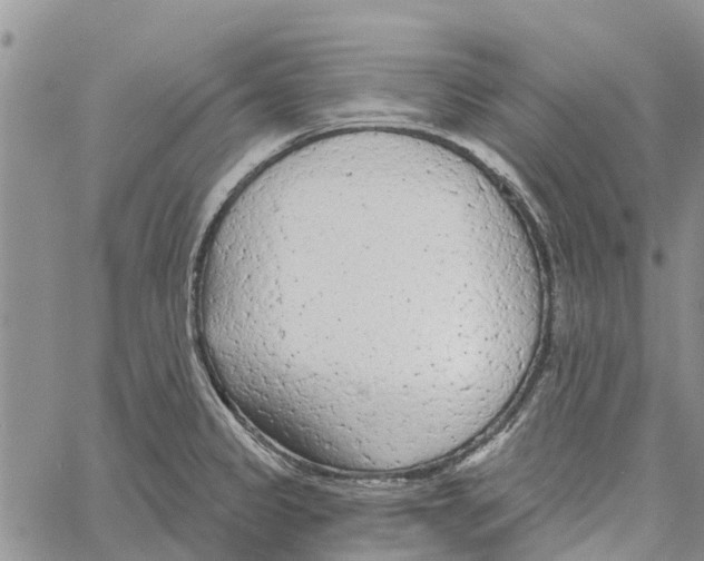 X0000060581333200512011723