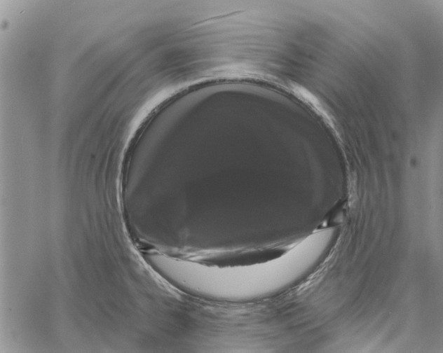 X0000060581334200512011723