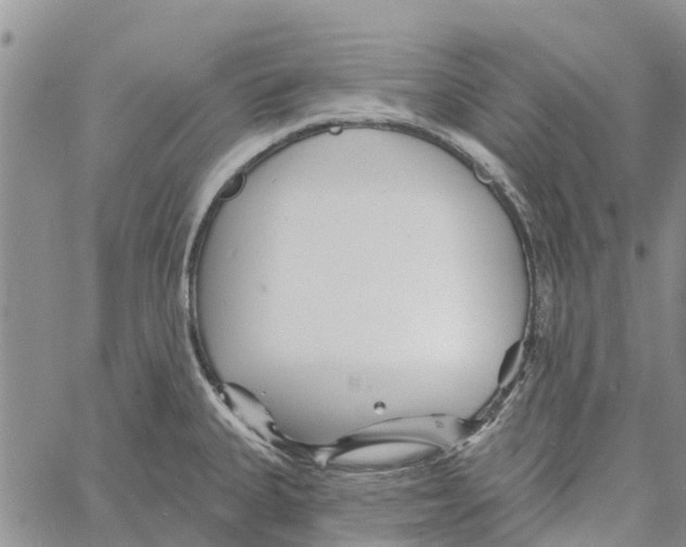 X0000060581335200512011723