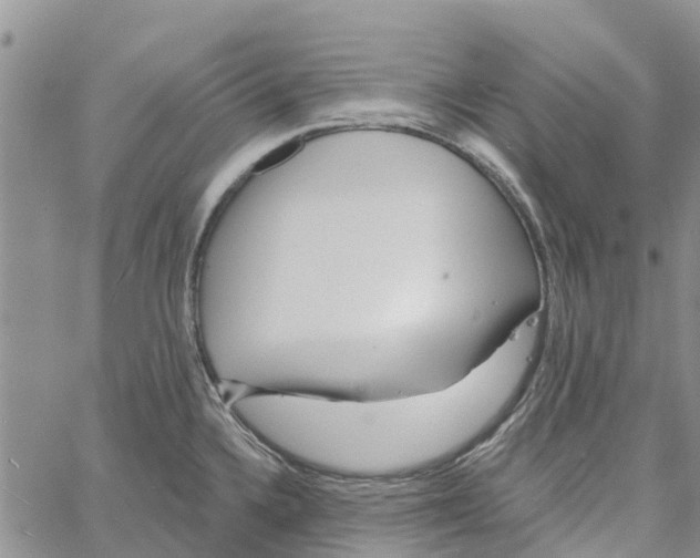 X0000060581336200512011723