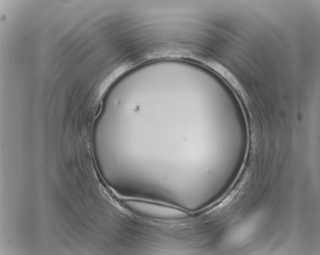 X0000060581337200512011723