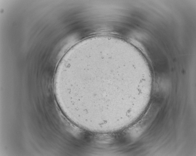 X0000060581338200512011723