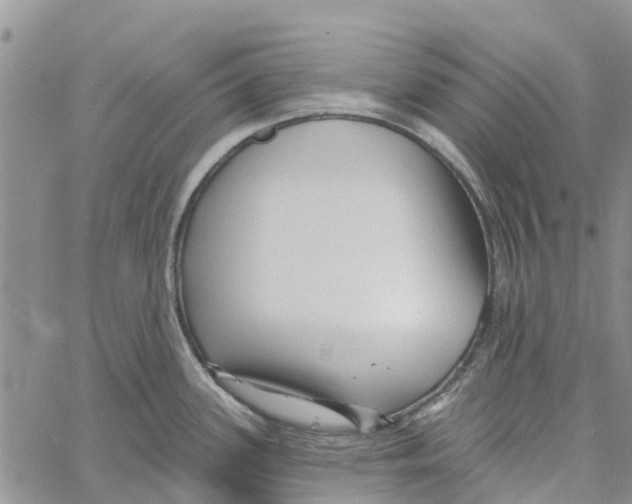 X0000060581339200512011723