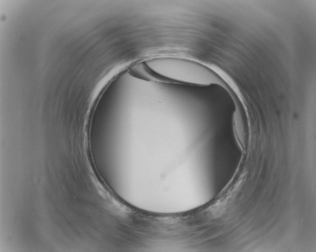 X0000060581341200512011723