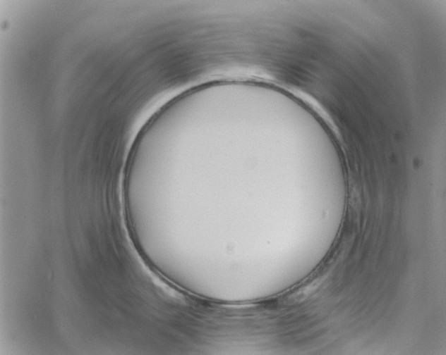 X0000060581343200512011723