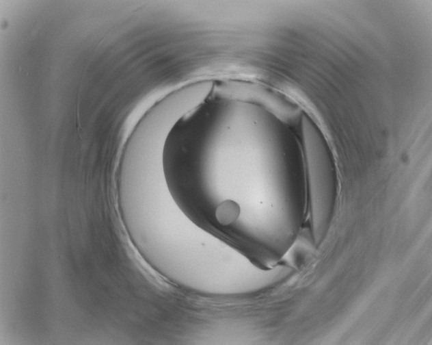 X0000060581344200512011723