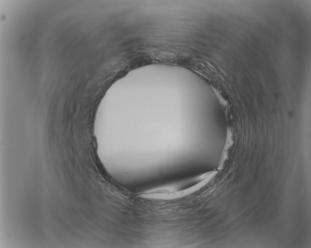 X0000060581345200512011722