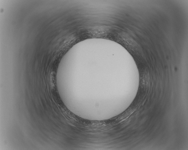 X0000060581346200512011722