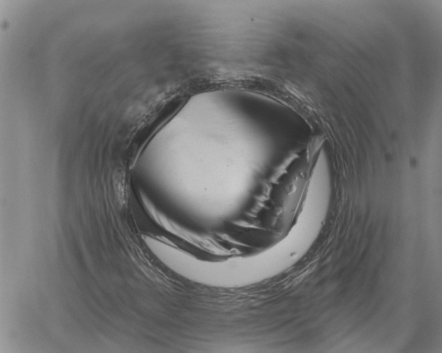 X0000060581348200512011722