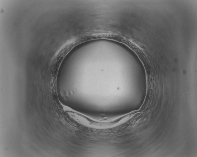 X0000060581351200512011722