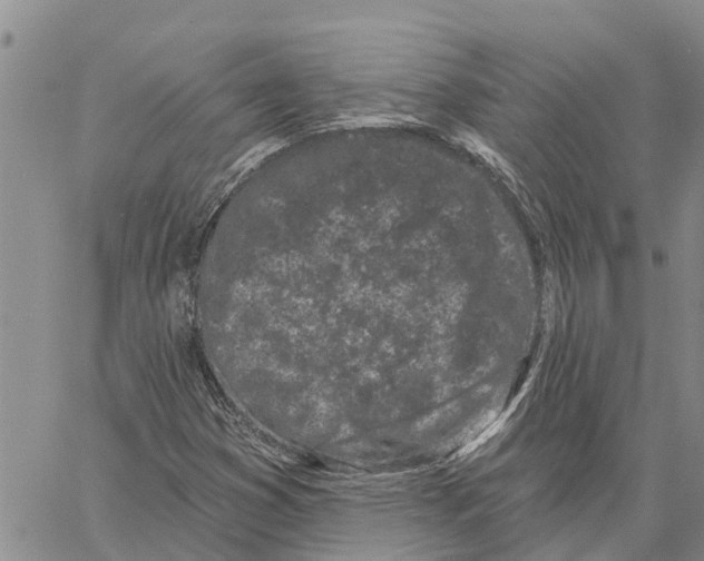 X0000060581353200512011722