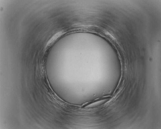 X0000060581354200512011722