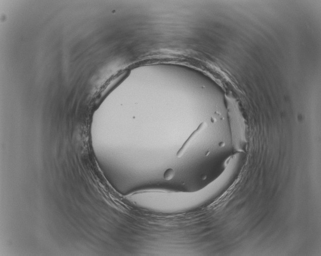 X0000060581355200512011722