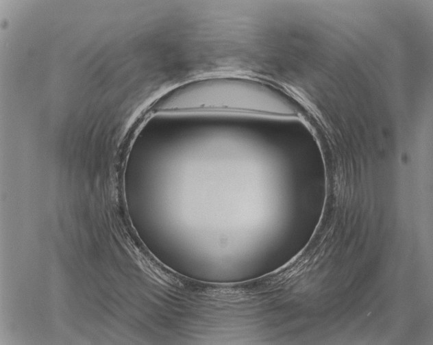 X0000060581356200512011722