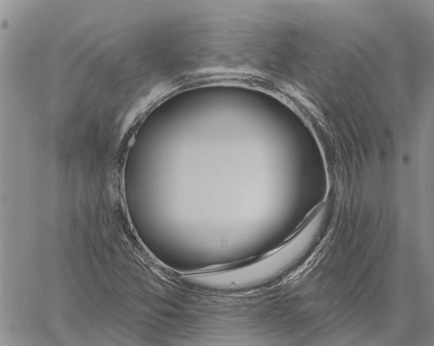 X0000060581357200512011722