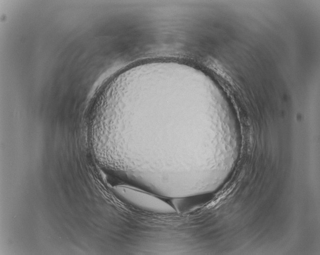 X0000060581358200512011722