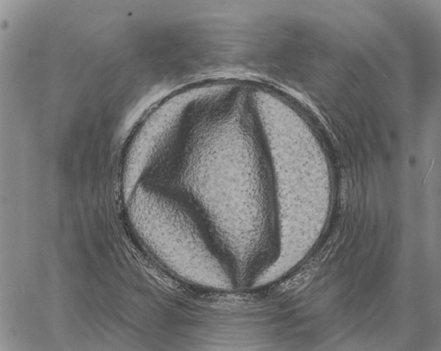 X0000060581359200512011722