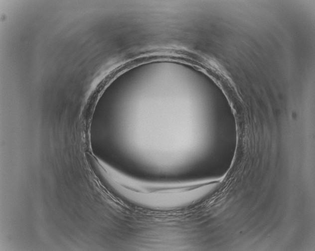 X0000060581360200512011722