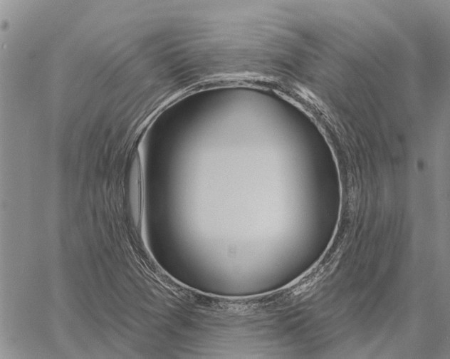 X0000060581361200512011722