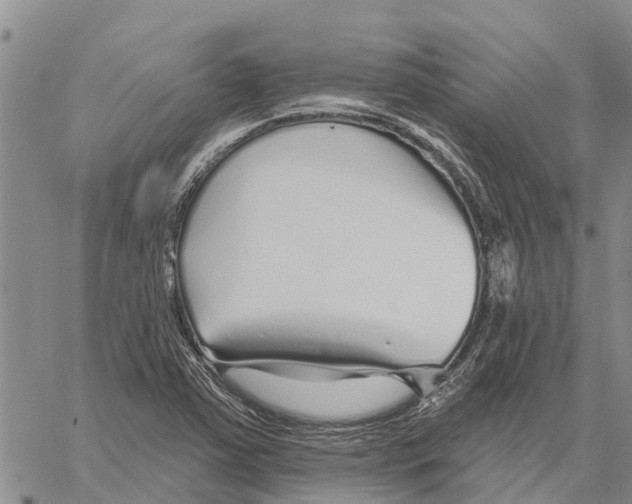 X0000060581363200512011722