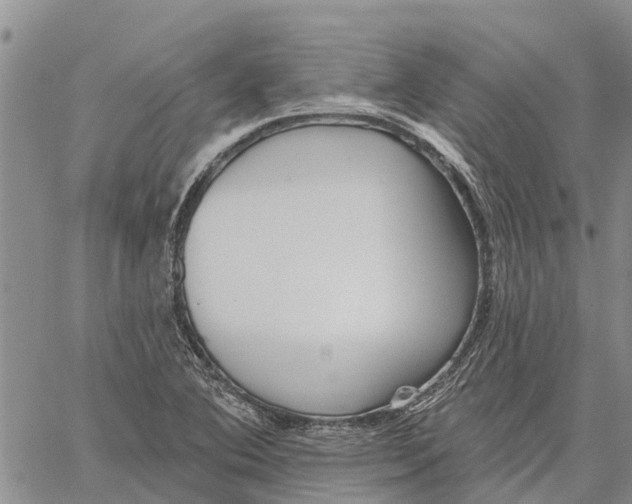 X0000060581364200512011722