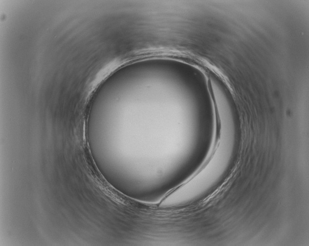 X0000060581365200512011722