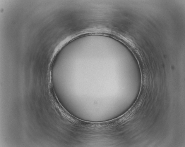 X0000060581366200512011722