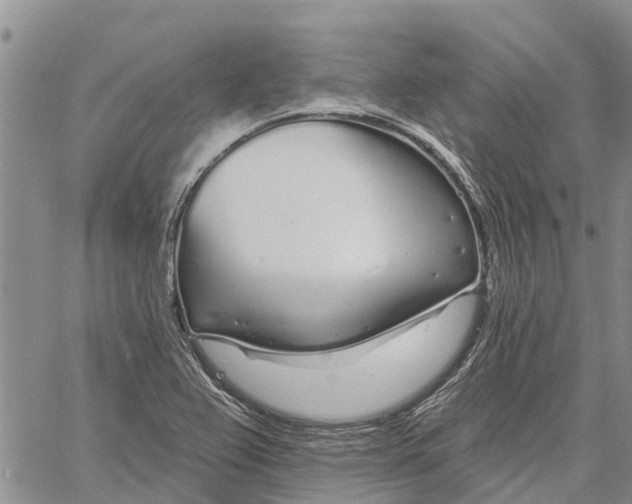 X0000060581367200512011722