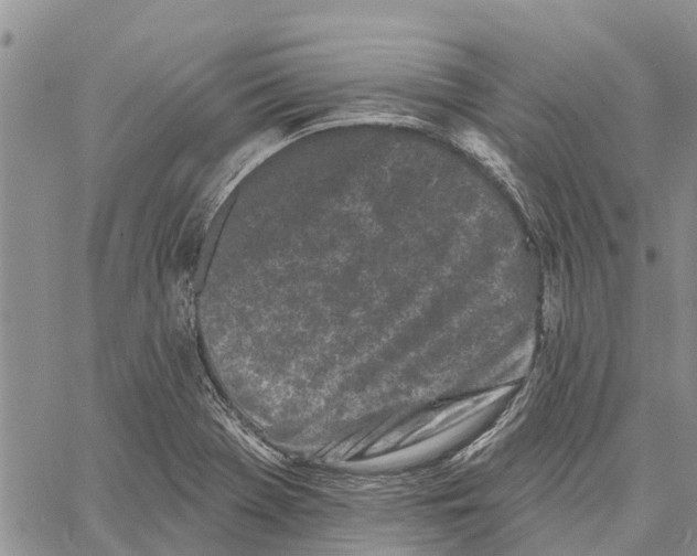 X0000060581369200512011722