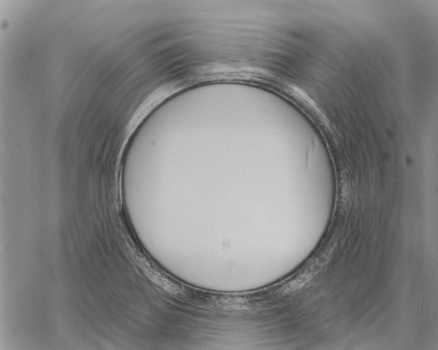 X0000060581370200512011722