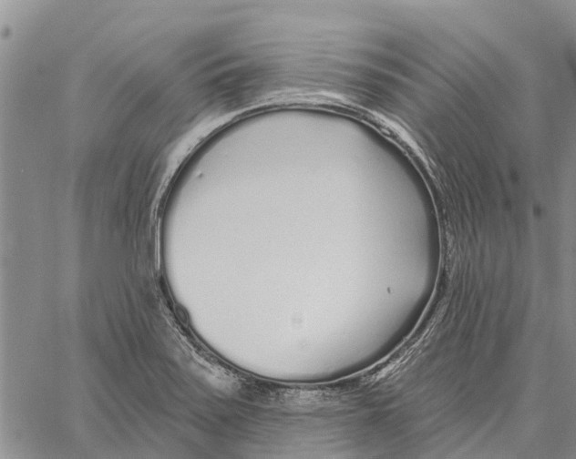 X0000060581371200512011722