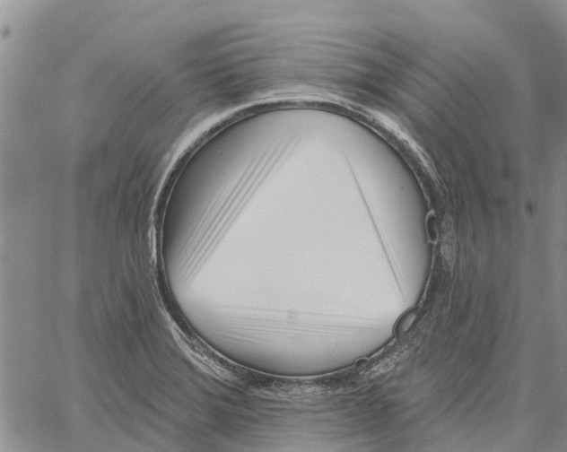 X0000060581372200512011722